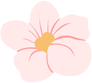 16585396489232.png 2.png